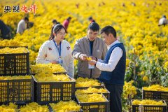 再到“实施稳岗扩