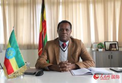 人平易近网股份有